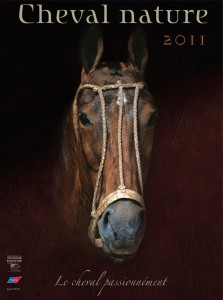 Brochures-Azimut-Portfolio-87-1920