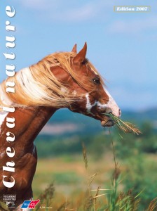 Brochures-Azimut-Portfolio-93-1920